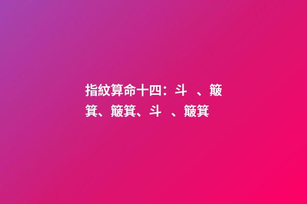 指紋算命十四：斗、簸箕、簸箕、斗、簸箕